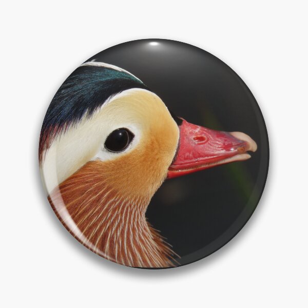 Item preview, Mandarin duck portrait designed and sold by WildEncounters.