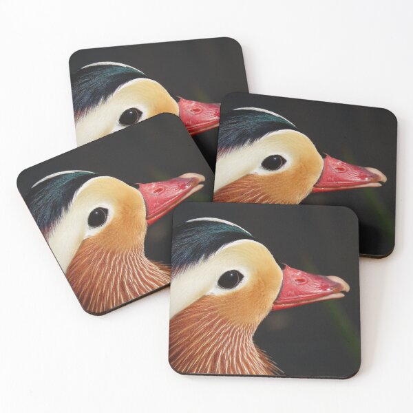 Item preview, Mandarin duck portrait designed and sold by WildEncounters.