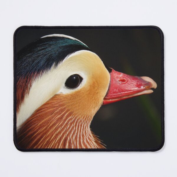 Item preview, Mandarin duck portrait designed and sold by WildEncounters.