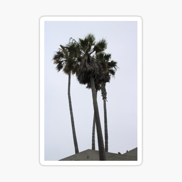 Typically Californian Sticker