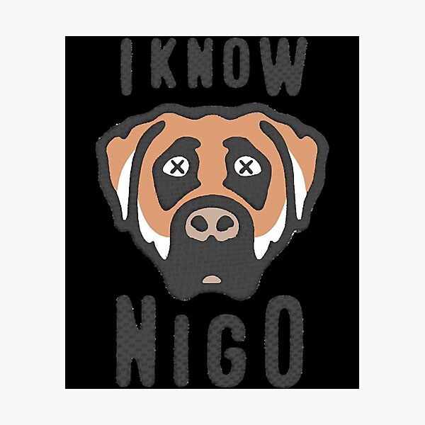 i know nigo Art Print for Sale by SabineBonnet