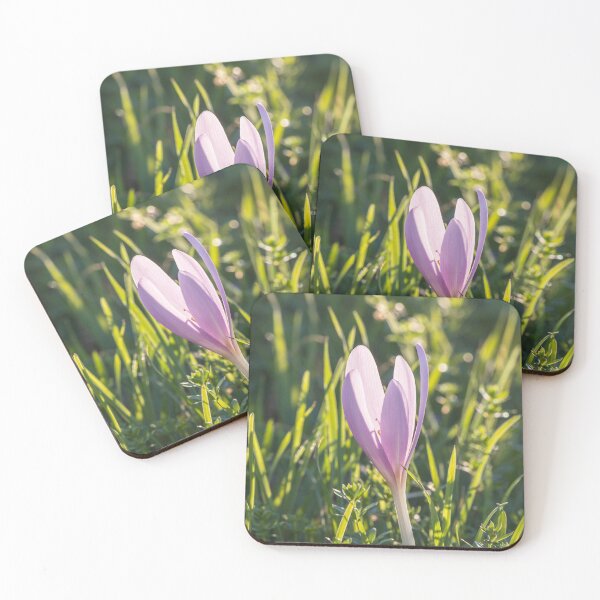 Item preview, Autumn crocus purple flower designed and sold by StohlerPhotos.