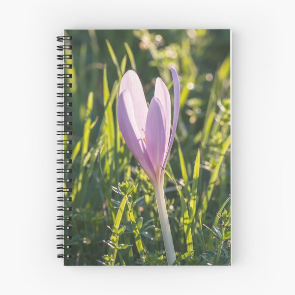Item preview, Autumn crocus purple flower designed and sold by StohlerPhotos.