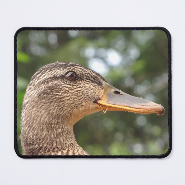 Item preview, Female mallard portrait designed and sold by WildEncounters.