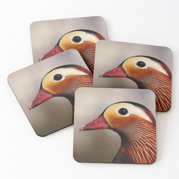 Item preview, Fabulous mandarine duck designed and sold by WildEncounters.