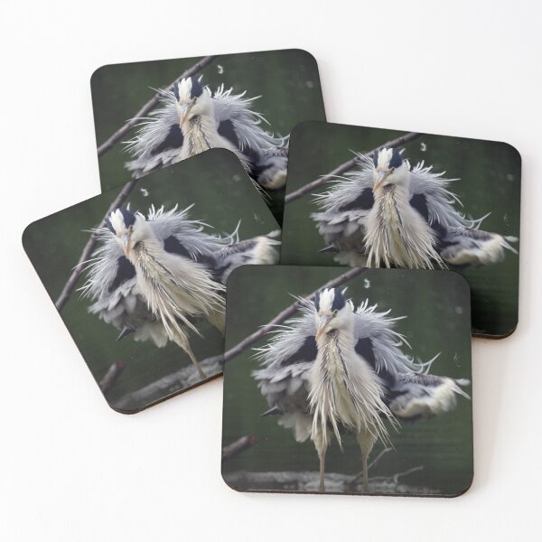 Item preview, Frustrated gray heron designed and sold by WildEncounters.