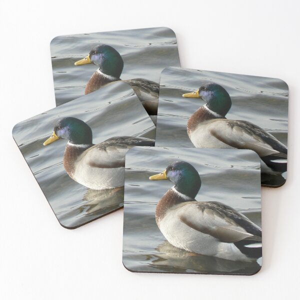 Item preview, Mallard Duck Photo designed and sold by PilgrimCraft.