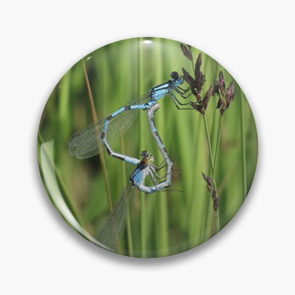 Item preview, Azure damselfly love designed and sold by WildEncounters.
