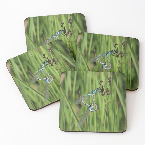 Item preview, Azure damselfly love designed and sold by WildEncounters.