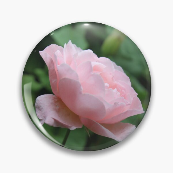 Item preview, English Rose  designed and sold by Emma  Amies.