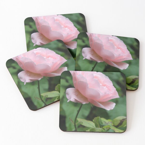 Item preview, English Rose  designed and sold by Emma  Amies.