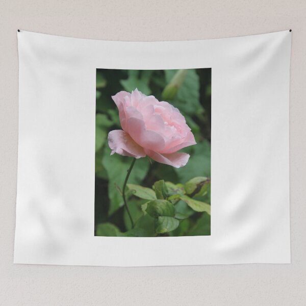 Item preview, English Rose  designed and sold by Emma  Amies.