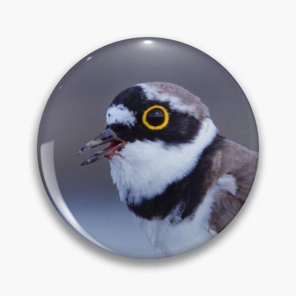 Item preview, Little ring plover calling designed and sold by WildEncounters.