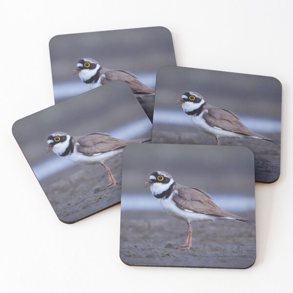 Item preview, Little ring plover calling designed and sold by WildEncounters.