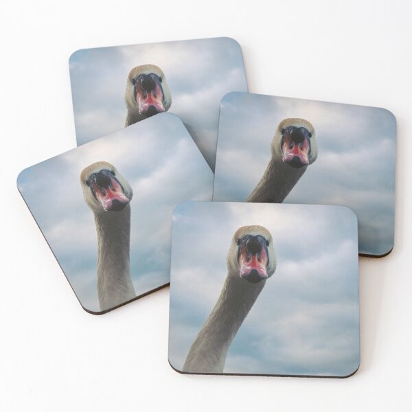 Item preview, Inquisitive swan designed and sold by WildEncounters.