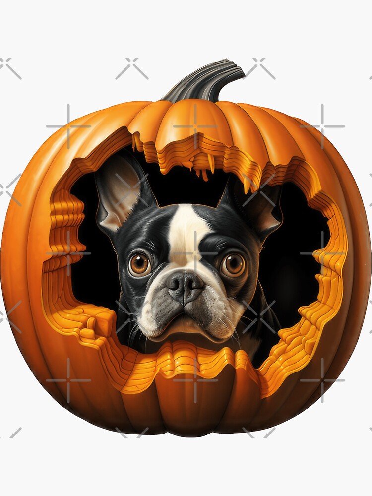 Halloween Funny Cute Boston Terrier Dog Inside Pumpkin Sticker for Sale by  HealthyHappyYou