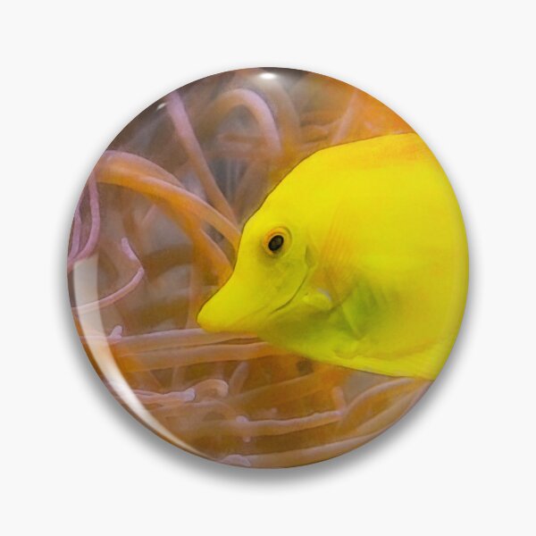 Item preview, Yellow Fish and Sea Anemones designed and sold by KGSPhotoArt.