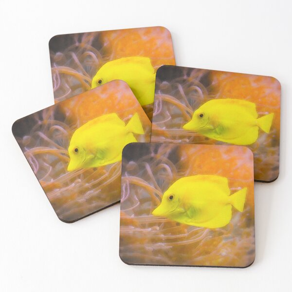 Item preview, Yellow Fish and Sea Anemones designed and sold by KGSPhotoArt.