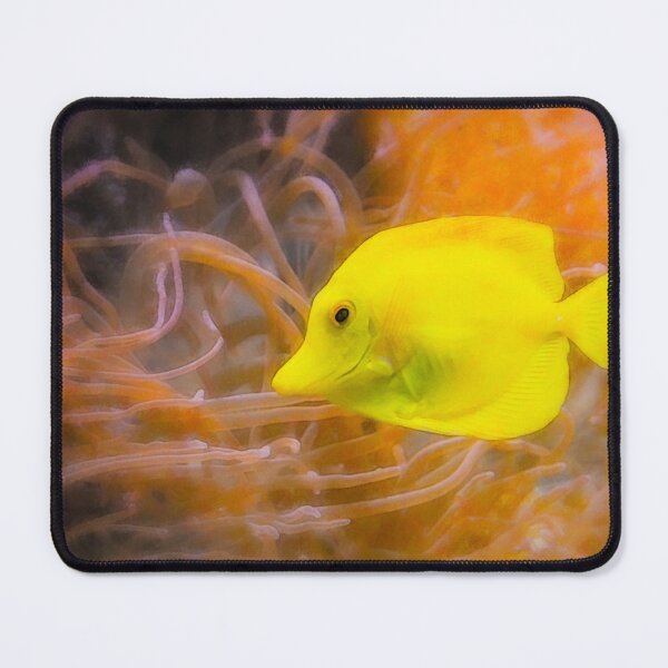 Item preview, Yellow Fish and Sea Anemones designed and sold by KGSPhotoArt.