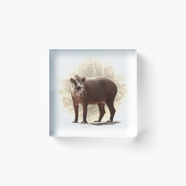 Item preview, Tapir designed and sold by Guardi71.