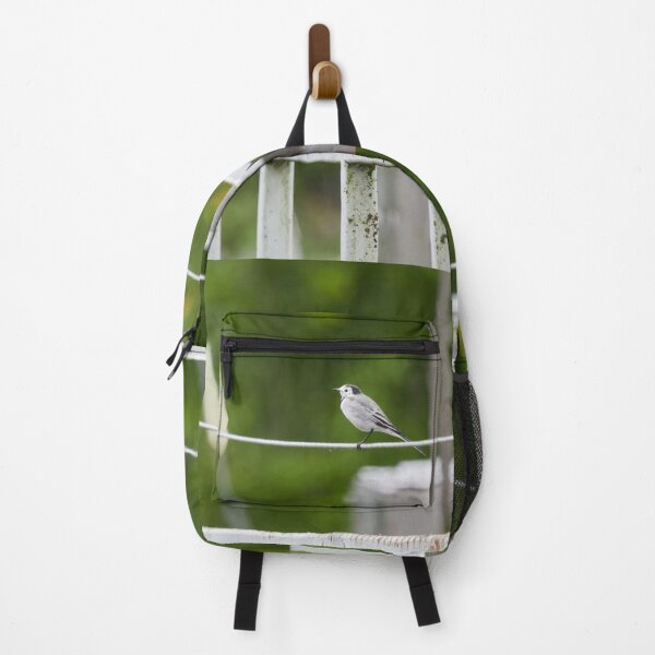 Item preview, On line today. White wagtail designed and sold by Jouko Lehto Photography.