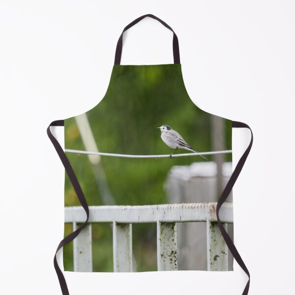 Item preview, On line today. White wagtail designed and sold by Jouko Lehto Photography.
