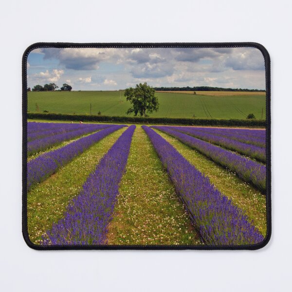 Item preview, Lavender Field Summer Flowers Cotswolds England designed and sold by AndyEvansPhotos.