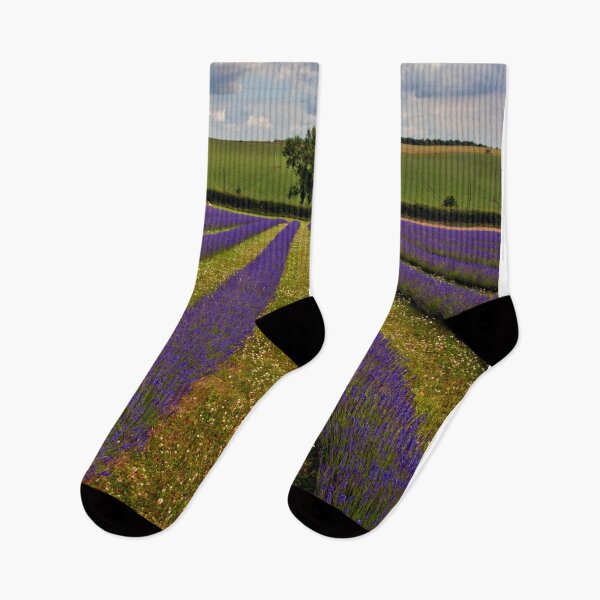 Item preview, Lavender Field Summer Flowers Cotswolds England designed and sold by AndyEvansPhotos.