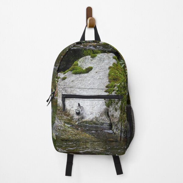 Item preview, No wet feet. White wagtail designed and sold by Jouko Lehto Photography.