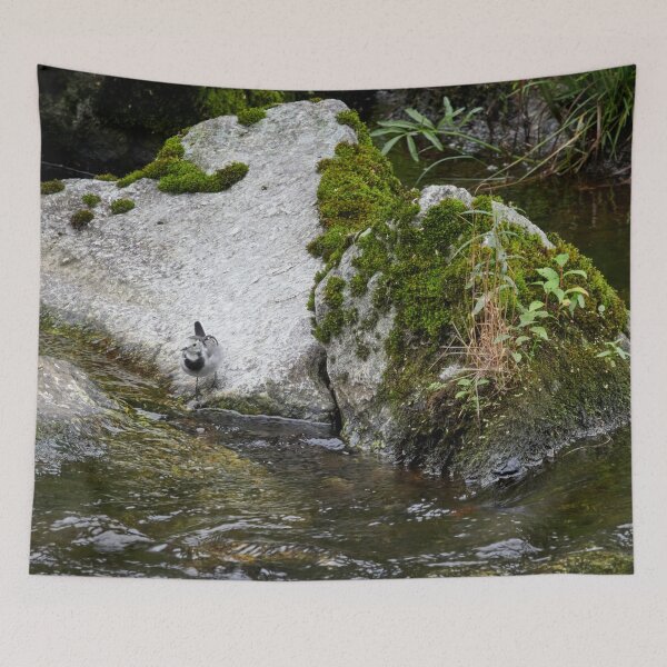 Item preview, No wet feet. White wagtail designed and sold by Jouko Lehto Photography.