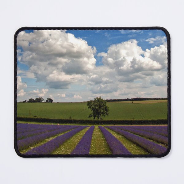 Item preview, Lavender Field Summer Flowers Cotswolds England designed and sold by AndyEvansPhotos.