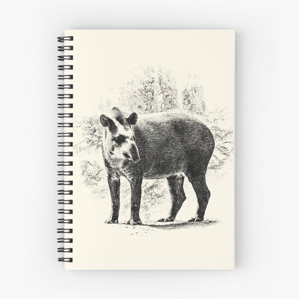 Aperçu de l'œuvre Tapir créée et vendue par Guardi71.