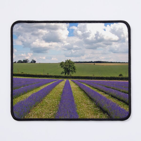 Item preview, Lavender Field Summer Flowers Cotswolds England designed and sold by AndyEvansPhotos.