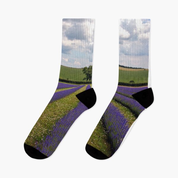 Item preview, Lavender Field Summer Flowers Cotswolds England designed and sold by AndyEvansPhotos.