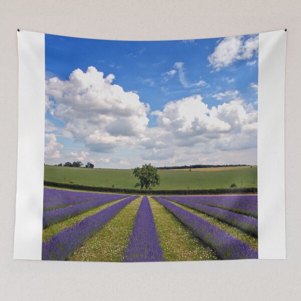 Item preview, Lavender Field Summer Flowers Cotswolds England designed and sold by AndyEvansPhotos.
