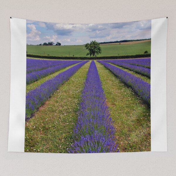 Item preview, Lavender Field Summer Flowers Cotswolds England designed and sold by AndyEvansPhotos.