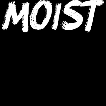 Imagen de la obra Moist Funny Meme Sarcastic Humor Offensive Moist Gear de DynamicDesign