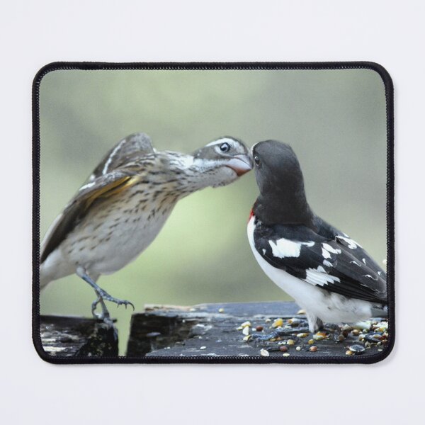 Item preview, Beak to Beak designed and sold by Laurie Minor.