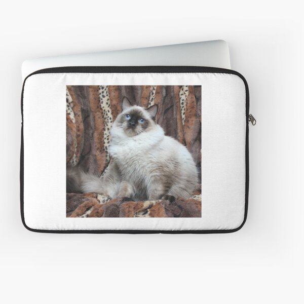 Seal colorpoint ragdoll Laptop Sleeve