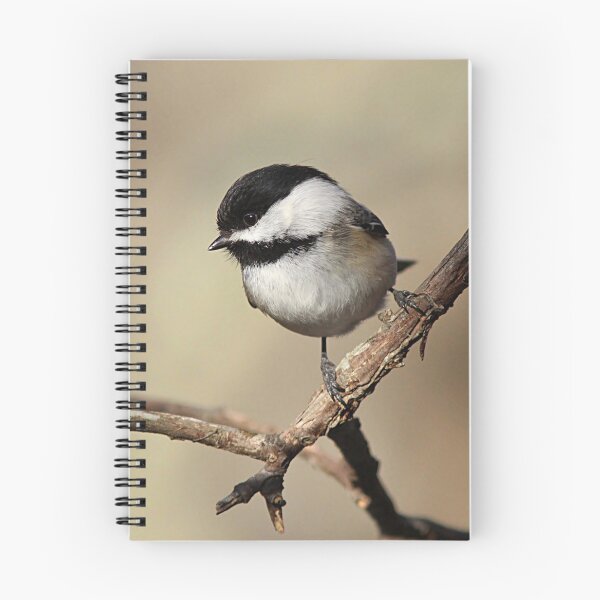 Item preview, Chickadee near sunset designed and sold by Linda Crockett.