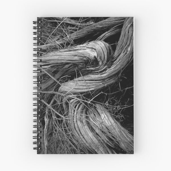 Item preview, Recollection designed and sold by Ben Loveday.