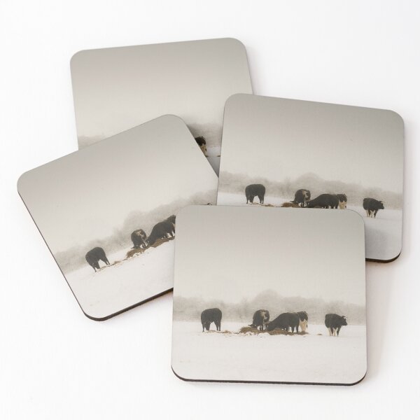 Item preview, Rural winter scene: Cows grazing in snow storm designed and sold by bailey-cooper.