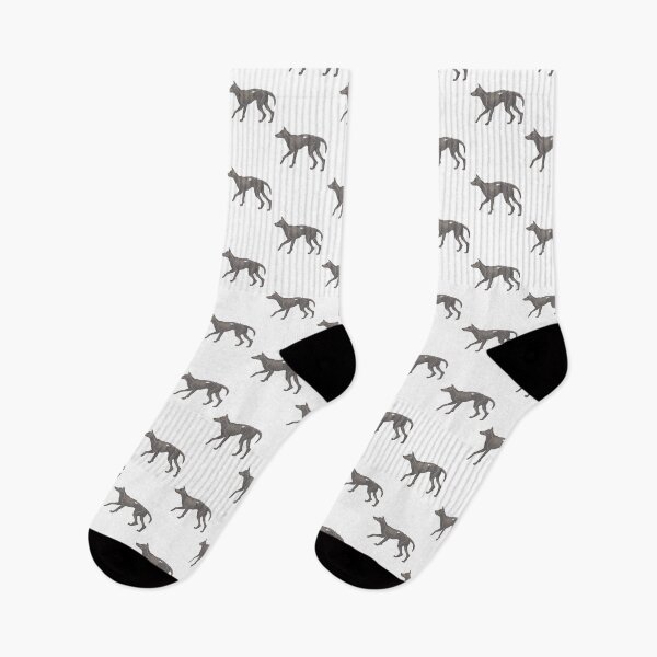 Item preview, Dog Anatomy designed and sold by Kendall  Falk.
