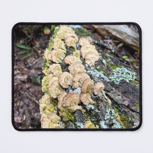 Item preview, Mushroom Cluster designed and sold by RehashedGoods.