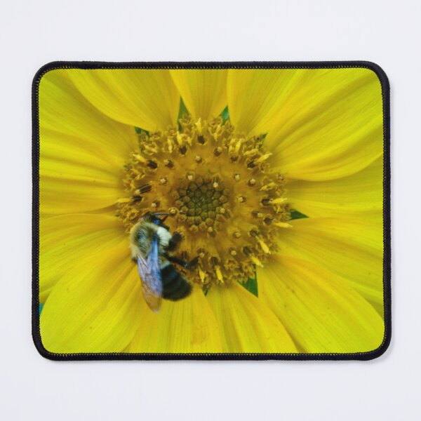 Item preview, Daisy and Bee designed and sold by Shulie1.
