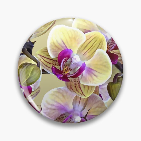 Item preview, Pale Yellow and Magenta Phalaenopsis Orchids designed and sold by Susan Savad.