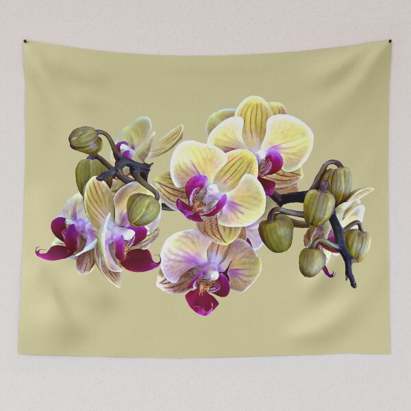 Item preview, Pale Yellow and Magenta Phalaenopsis Orchids designed and sold by Susan Savad.