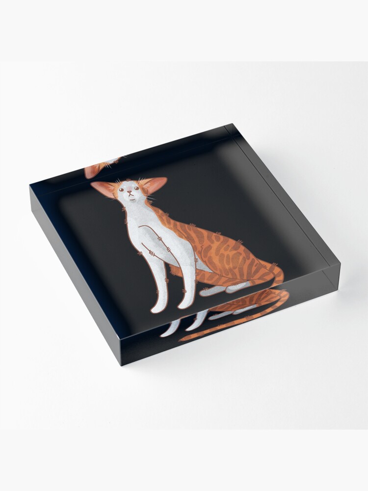 Thumbnail 3 of 5, Acrylic Block, Red bicolor oriental cat- Gifts for Cat Lovers designed and sold by FelineEmporium.