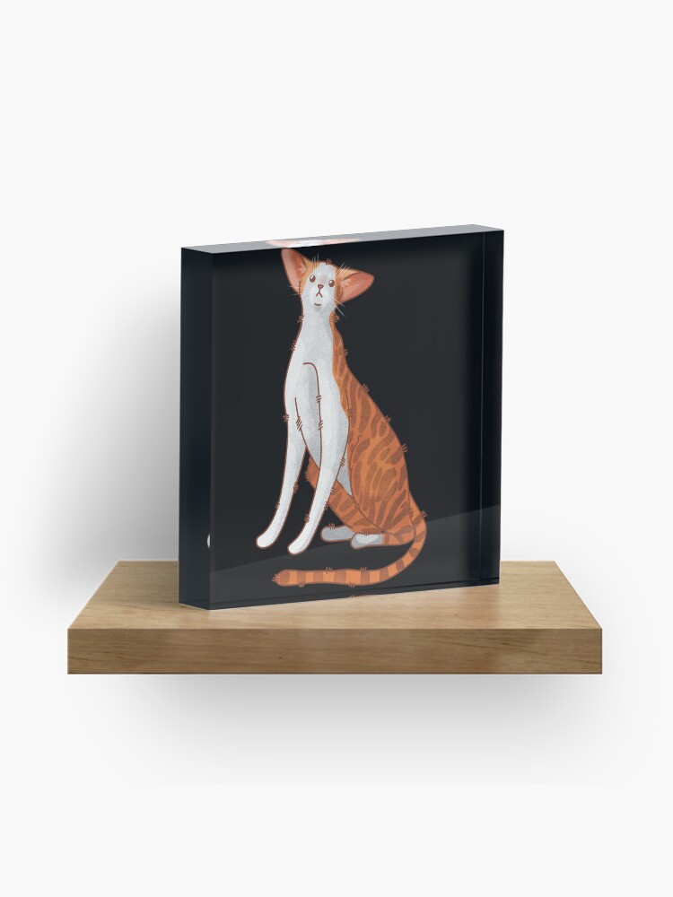 Thumbnail 1 of 5, Acrylic Block, Red bicolor oriental cat- Gifts for Cat Lovers designed and sold by FelineEmporium.