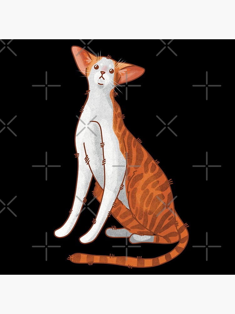 Thumbnail 5 of 5, Acrylic Block, Red bicolor oriental cat- Gifts for Cat Lovers designed and sold by FelineEmporium.
